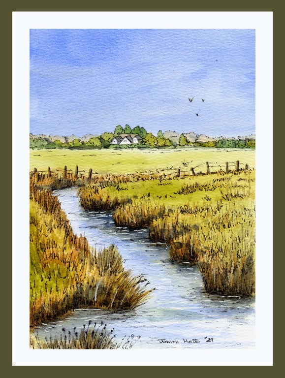 Steeple - A nice walk to the end of Canney Road