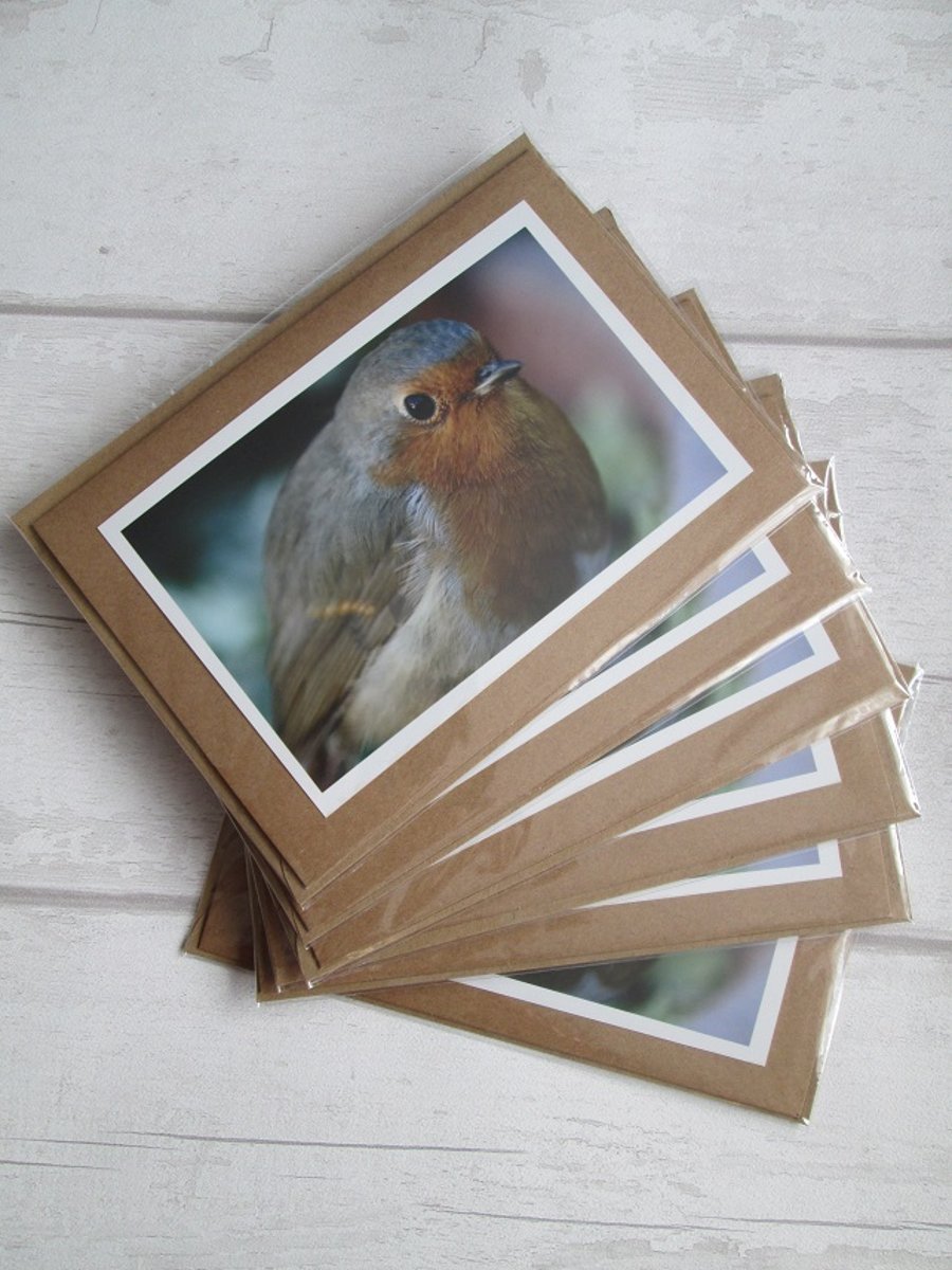 SALE - Robin Photo Cards - Six Pack