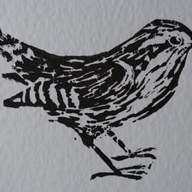 Wren Lino Print (Mounted)