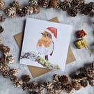 Pack of 5 Hand-drawn Robin Christmas Cards