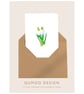 Snowdrop flowers Greetings Card (QM 305)