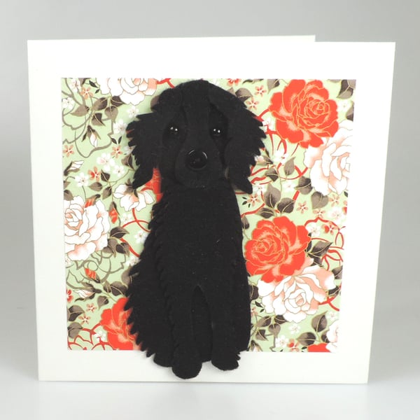 Springer Spaniel Dog Card, Blank inside, Birthday, Greeting, Universal card,