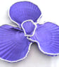 Metallic purple scallop shell trinket dish with pearl trim.