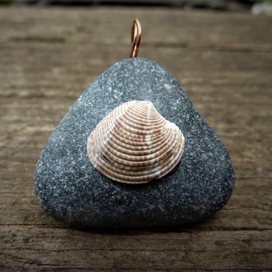 Pendant - black rounded triangle beach pebble and detailed small sea shell