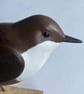 Dipper - Image 4