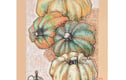 Fruit and Vegetables