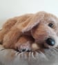Knitted Puppy, dotpebbles knits design  - Image 2