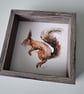 Original Squirrel Painting, Watercolour Art - Image 7