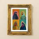 Colourful Chickens Print I