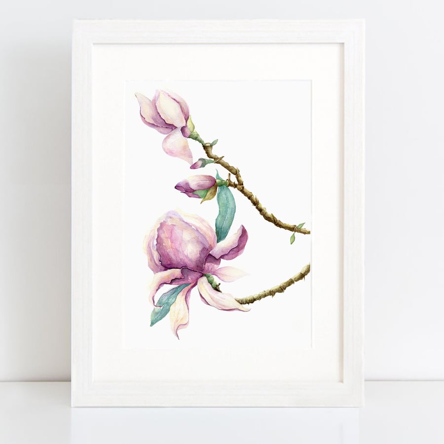 Magnolia blossoms - print of original watercolour art - Artist - Sarah Lawrence