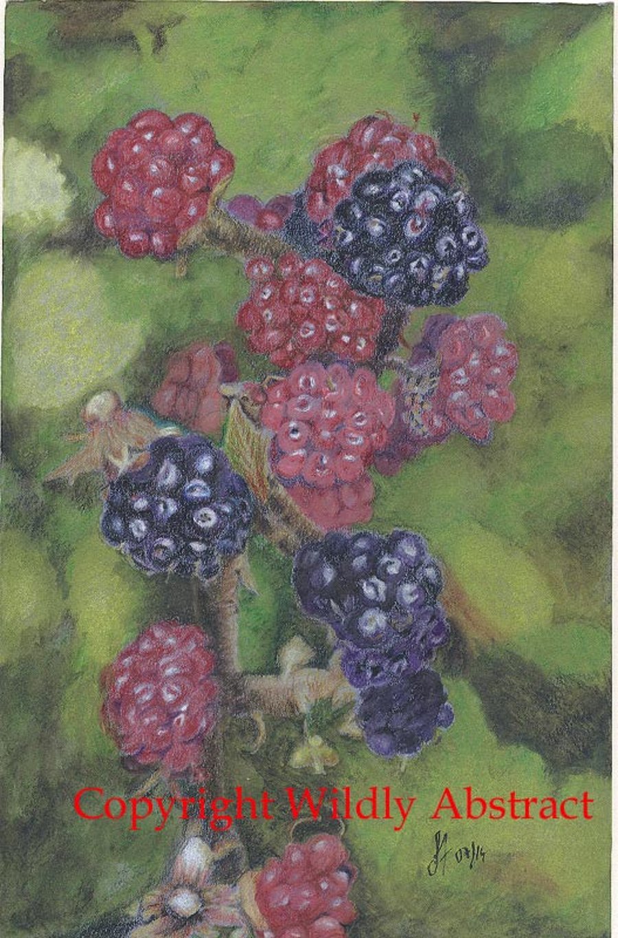 Original artwork - Good enough to eat, blackberries in Colourpencil