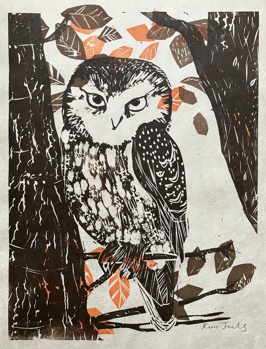 Tawny Owl in Beech Tree