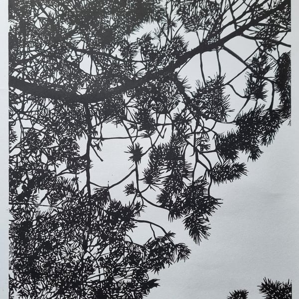 Co'ordinates "57.1700 -3.7160" Limited Edition Linoprint Glenmore Forest 