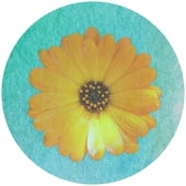 The Small Art Company