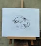 Relaxed Cat Limited Edition Original Hand-Pulled Drypoint Print Animal Art - Image 3