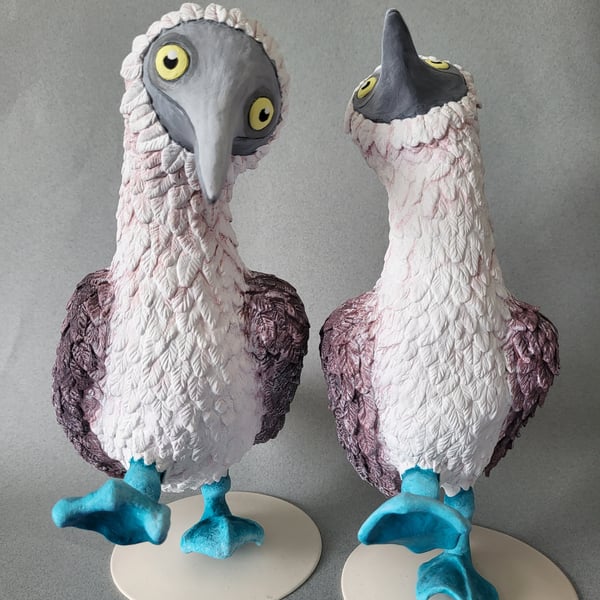 Blue footed Boobies - two polymer clay bird sculptures.