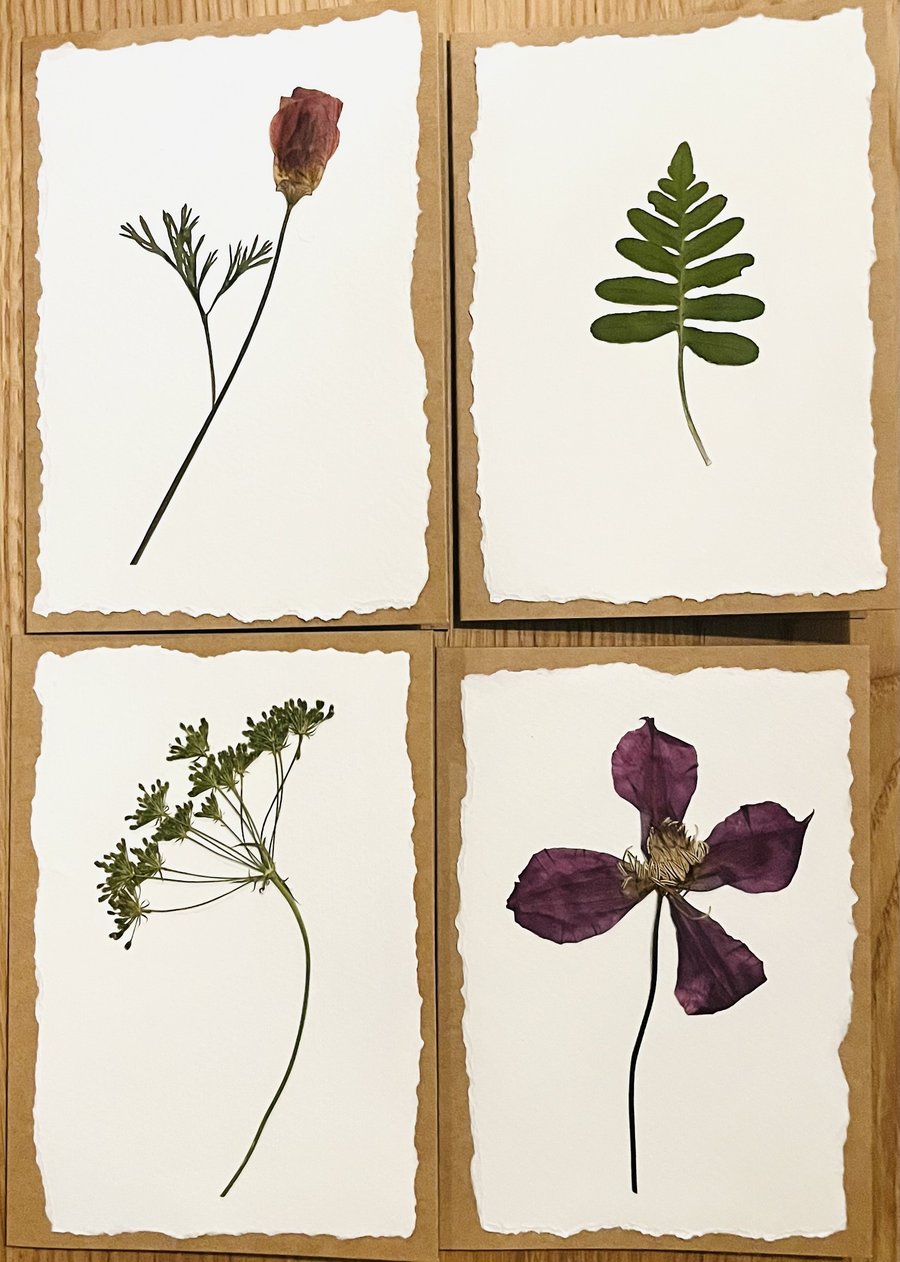 Real Pressed Flower Cards - set of four