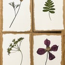Real Pressed Flower Cards - set of four