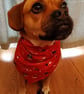 Christmas dog bandana,  dogs in Christmas jumpers, Merry Woofmas! from 4.00 - Image 5
