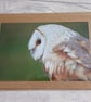 Barn Owl Photo Greetings Card - Image 2