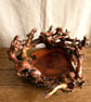 Wooden Fruit Bowl, Driftwood Bowl , Wooden Platter, Decorative Bowl  Hand Bowl - Image 2