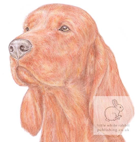 Woody the Irish (Red) Setter - Blank Card