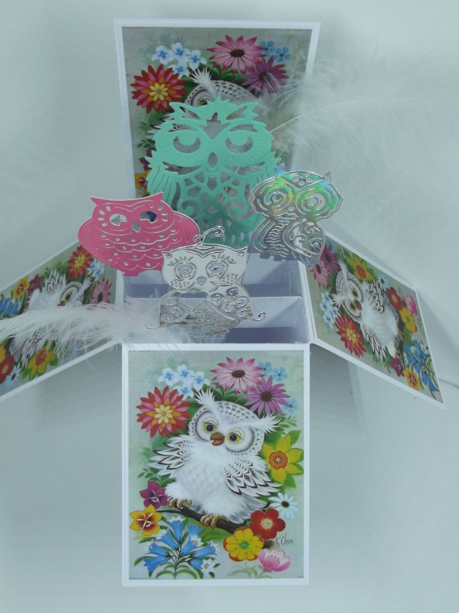 Birthday Card with Owls