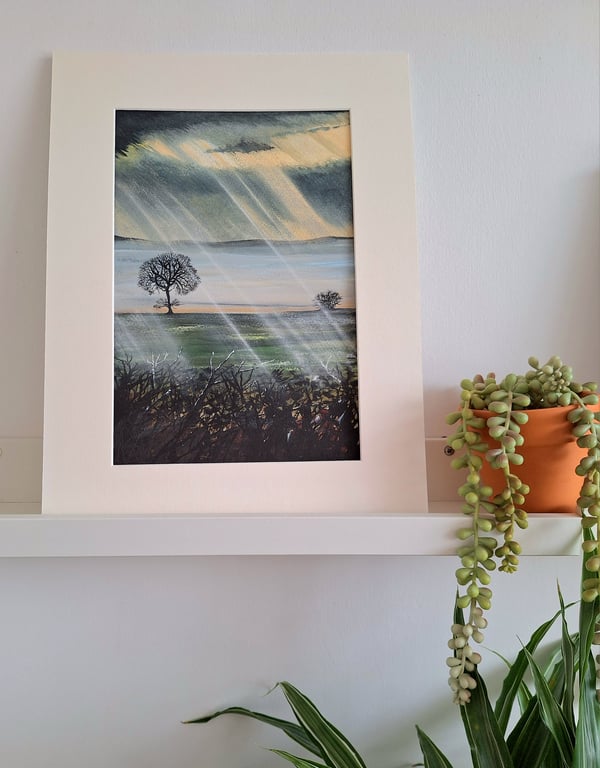 Morning Glory - Cold January day. 