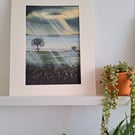 Morning Glory - Cold January day. 