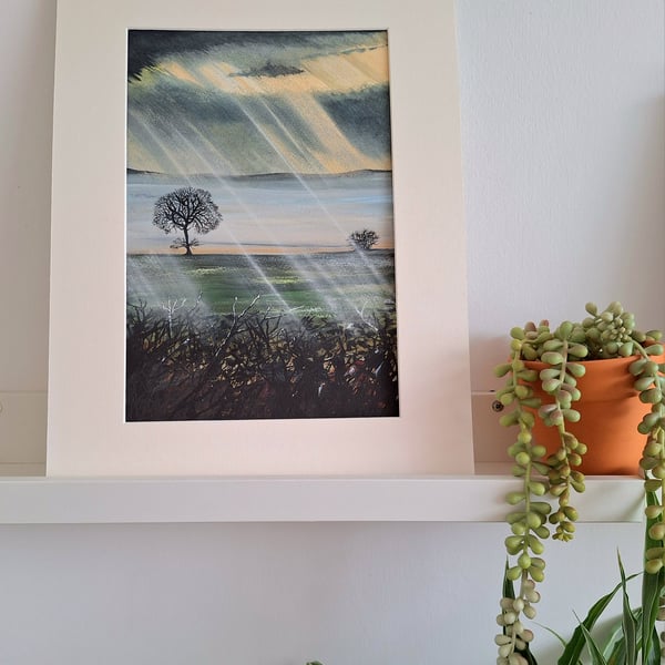 Morning Glory - Cold January day. 