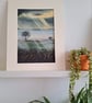 Morning Glory - Cold January day.  - Image 1