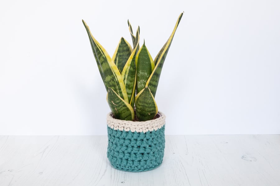 Small plant pot cover in green & cream. Made from recycled cotton. 