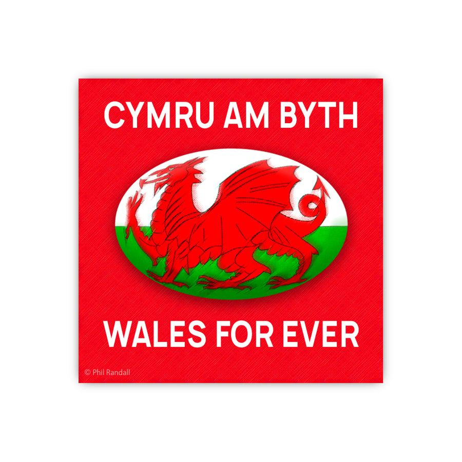 Welsh Dragon Rugby Ball