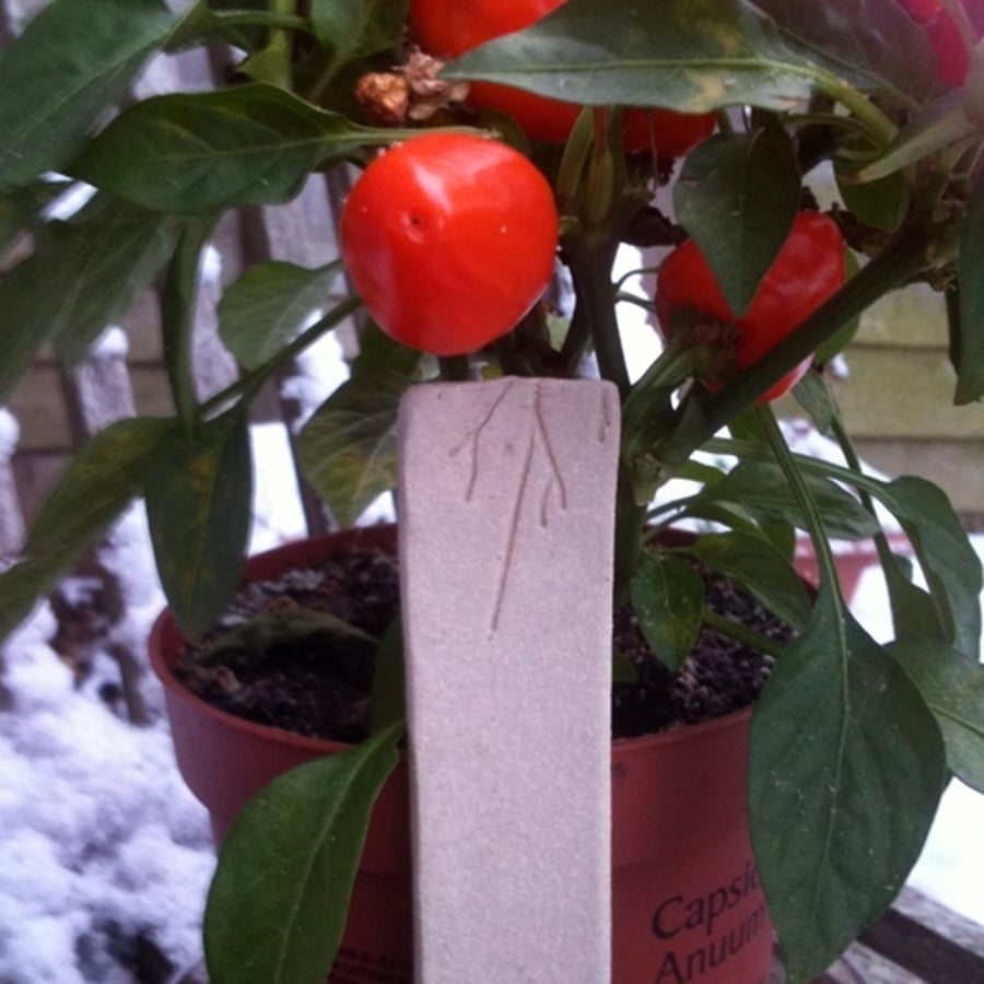 Ceramic Plant Markers - Icicles