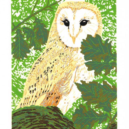 Owl - Barn Owl art - Original Limited Edition Linocut Print