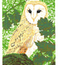 Owl - Barn Owl art - Original Limited Edition Linocut Print - Image 1