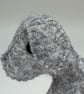 Tiny Grey Pup  - Image 4