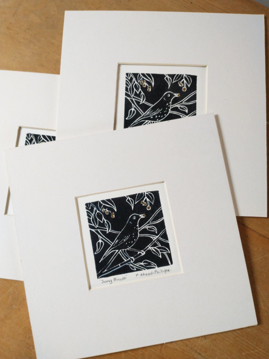 Song Thrush Lino Print.