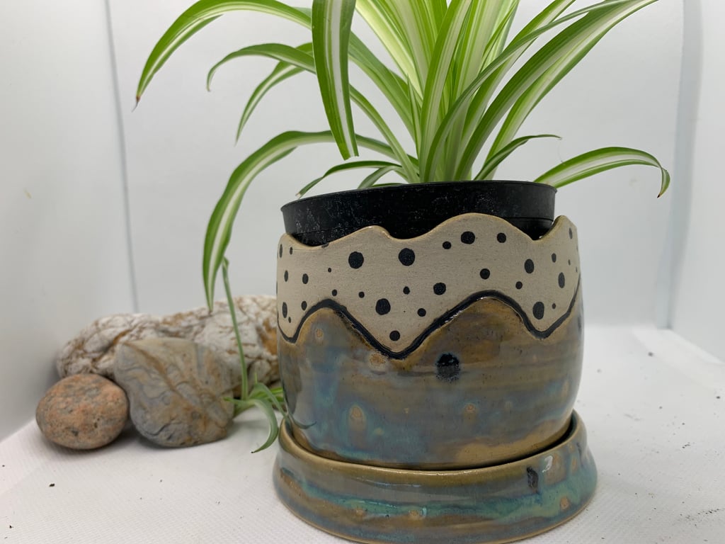 House plant pot with saucer