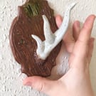 Pottery Antler Wall Hook