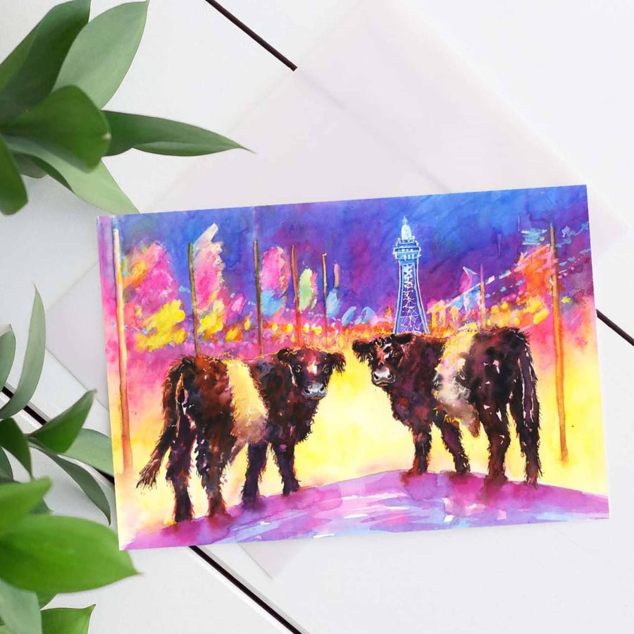  Belted Galloways in Blackpool Card