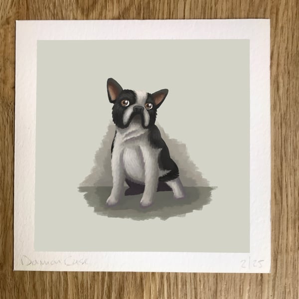 French Bull Dog Art Print