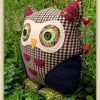 Owl Cushion  Hector