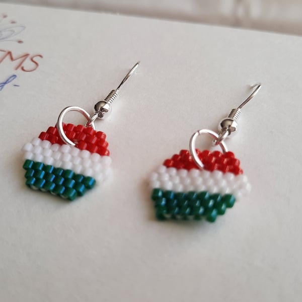 Hexagonal Hungarian Flag Themed Earrings