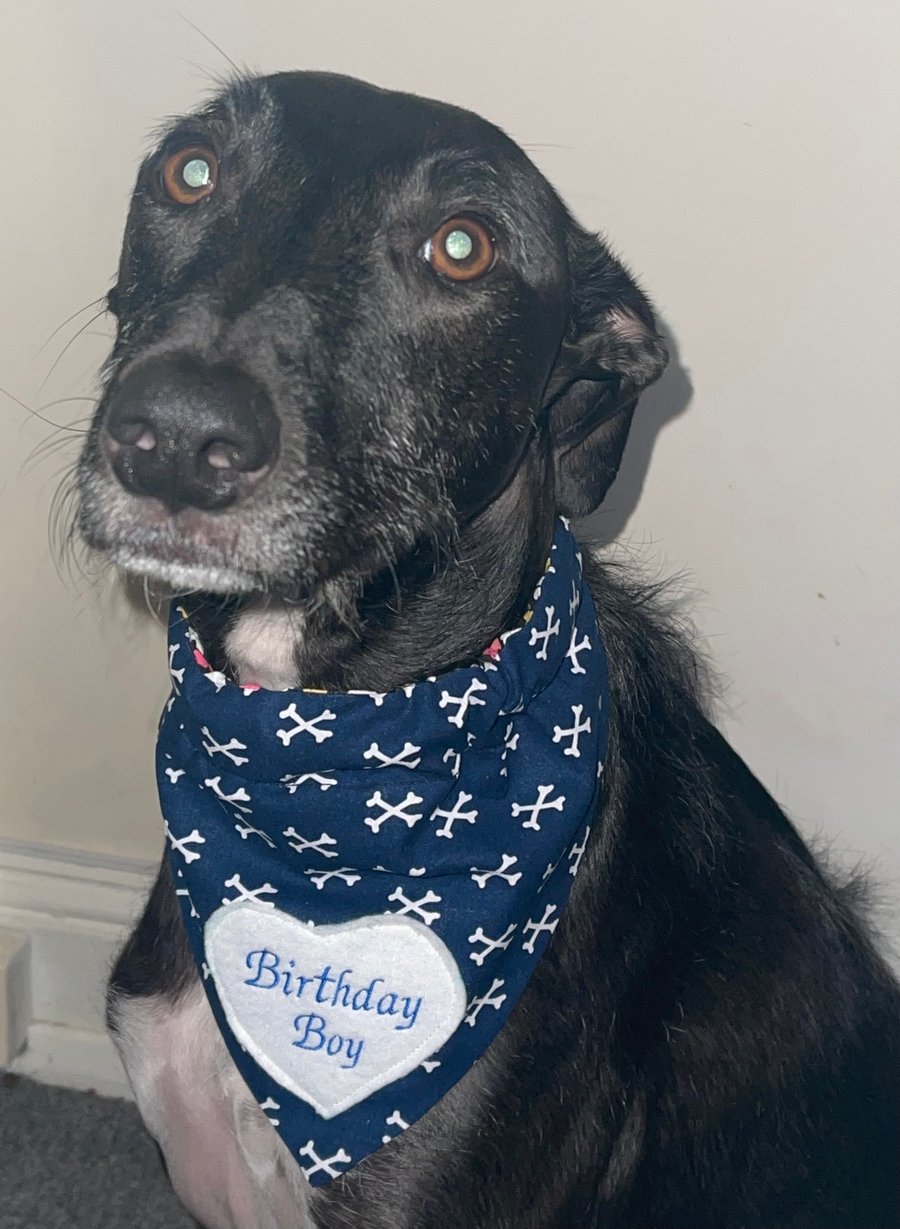 Custom order 2 dog bandanas 