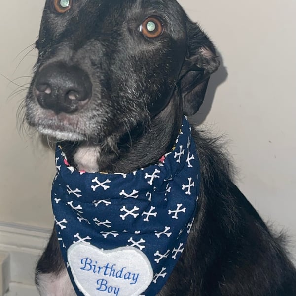 Custom order 2 dog bandanas 