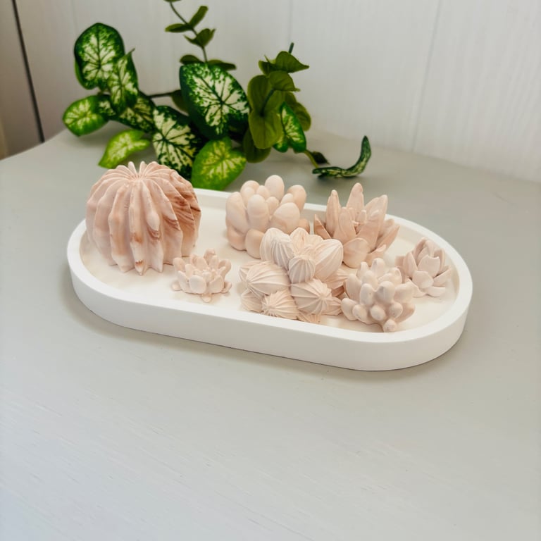 Succulent & Cactus Fragrance Stones with Oval Tray - Set of 7