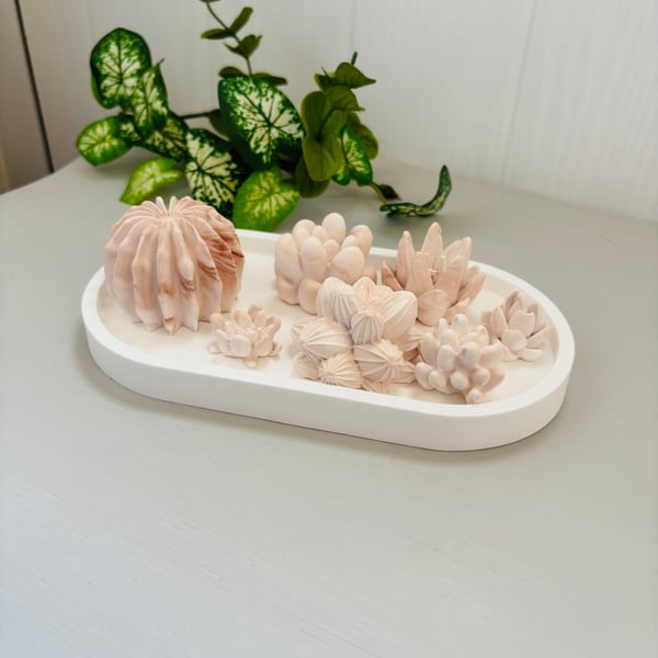 Set of 7 Succulent & Cactus Aroma Stones with Tray