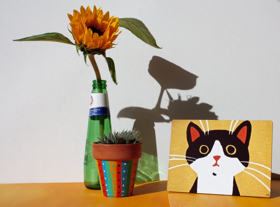 CUTE BLACK AND WHITE CAT WOODEN PHOTO PANEL