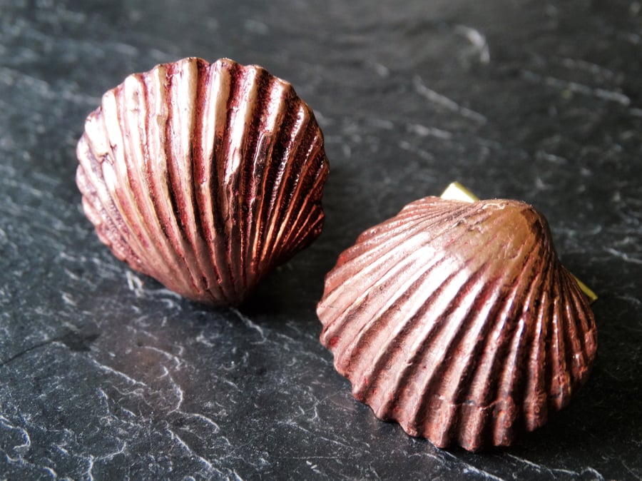 Copper cockle shell cufflinks, with brass fixings. 